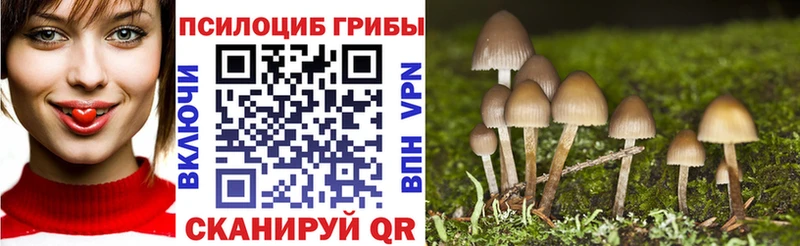 Галлюциногенные грибы Magic Shrooms  как найти закладки  Ейск 